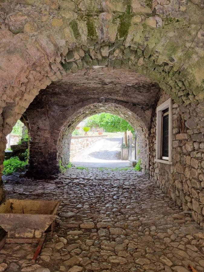 Pietraviva Faicchio, Non Visanti